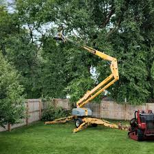 Tenino, WA Tree Care Company